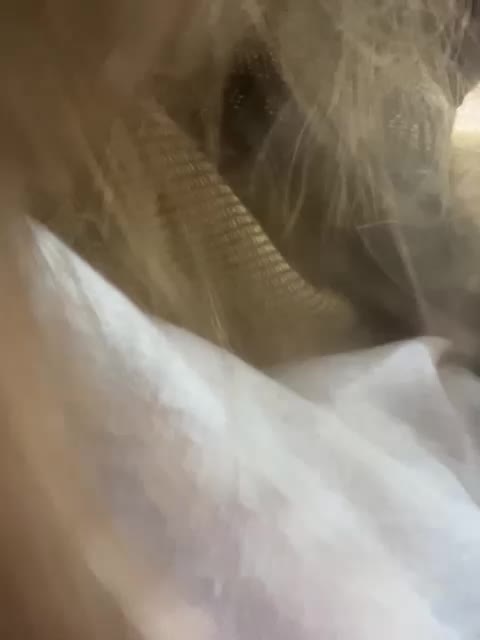 FunnyBanny0312 Cam Model Chat October 14, 2025