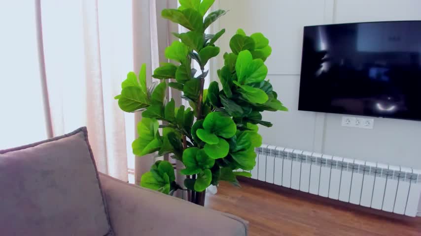 sexyangeloux Cam Model Chat October 15, 2025