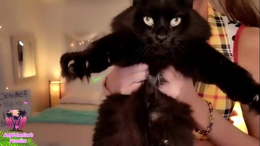 amyvalentine Cam Model Chat October 15, 2025