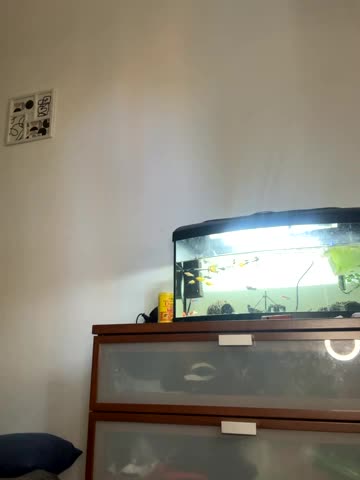 Artur_Anna Cam Model Chat October 15, 2025