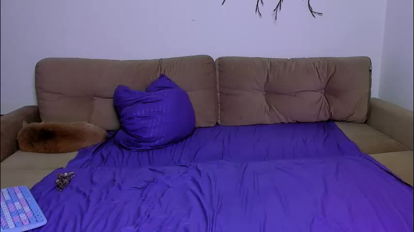 ladytrep Cam Model Chat October 16, 2025