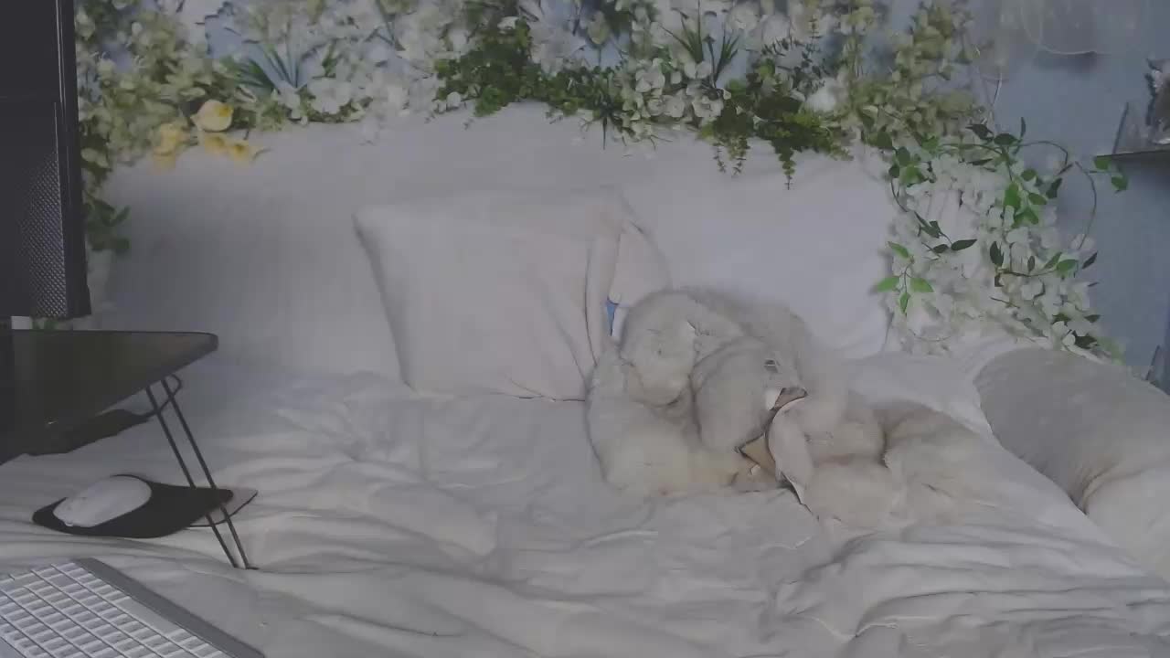 ViteR_ Cam Model Chat October 16, 2025