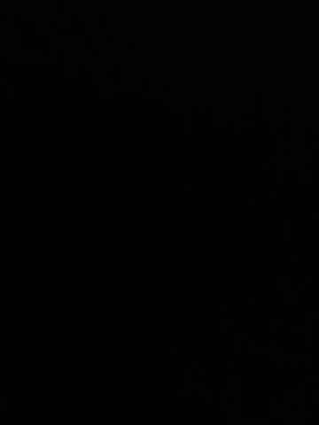 AllaTousNew Cam Model Chat October 16, 2025