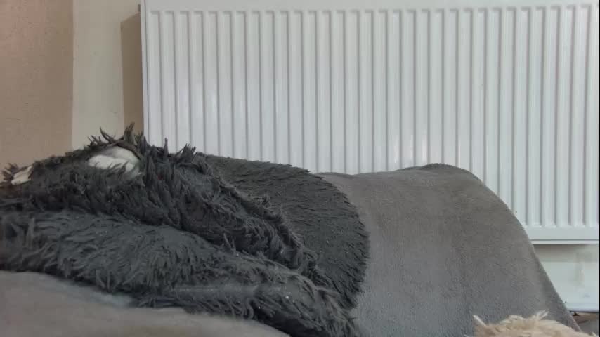 anaworld69 Cam Model Chat October 16, 2025