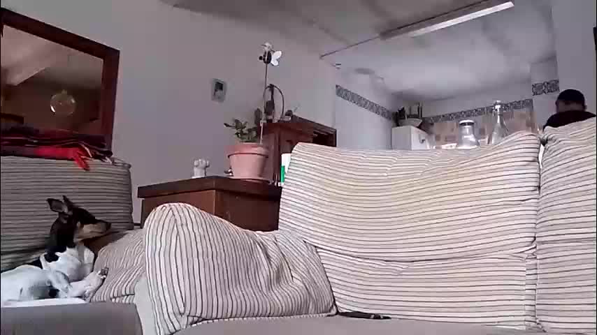 lolahueso Cam Model Chat October 16, 2025