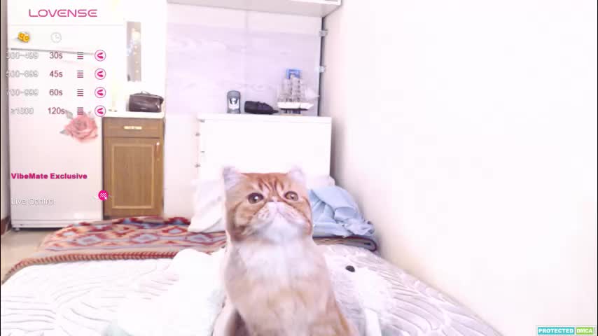 pvt_brian Cam Model Chat October 16, 2025