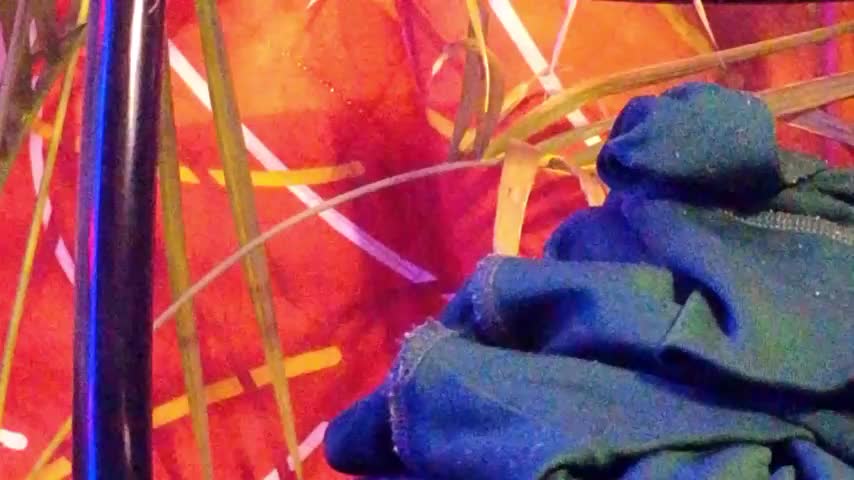 Jony_Marta Cam Model Chat October 17, 2025