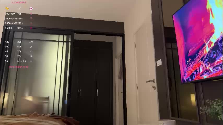 elisonnina Cam Model Chat October 17, 2025