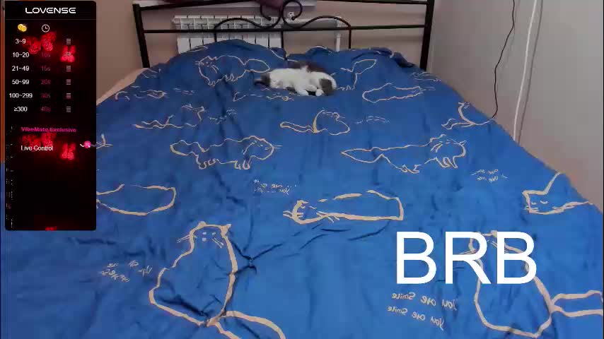 eva_zero Cam Model Chat October 17, 2025