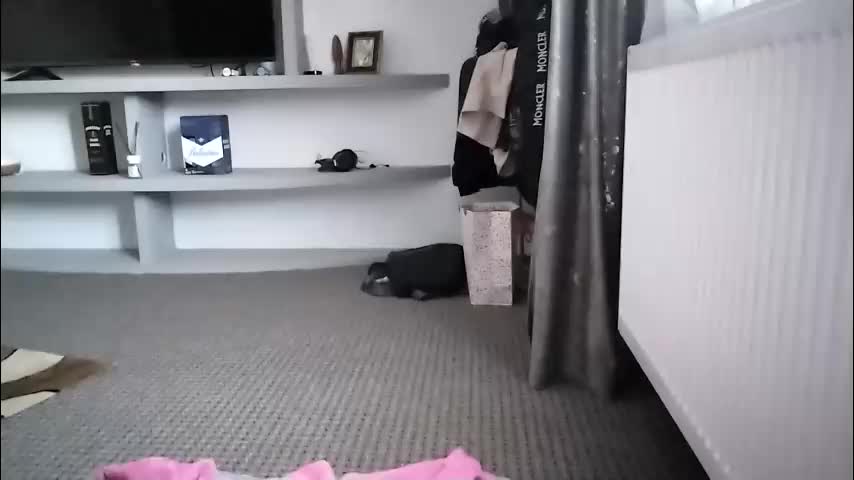 crazybrenda89 Cam Model Chat October 29, 2025