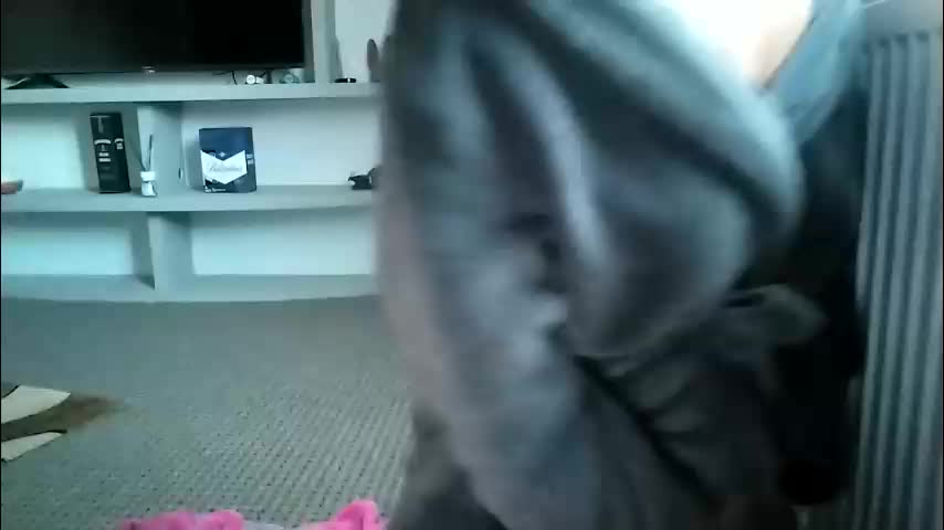 crazybrenda89 Cam Model Chat October 29, 2025