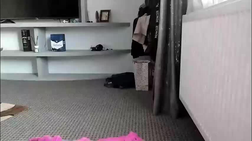 crazybrenda89 Cam Model Chat October 29, 2025