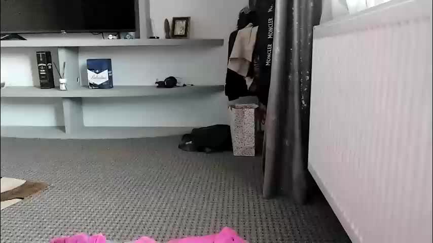 crazybrenda89 Cam Model Chat October 29, 2025