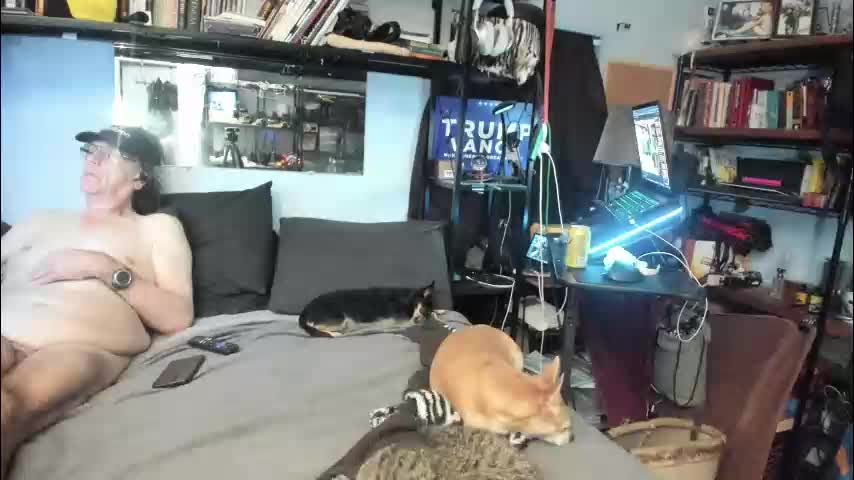 pink_black Cam Model Chat October 29, 2025