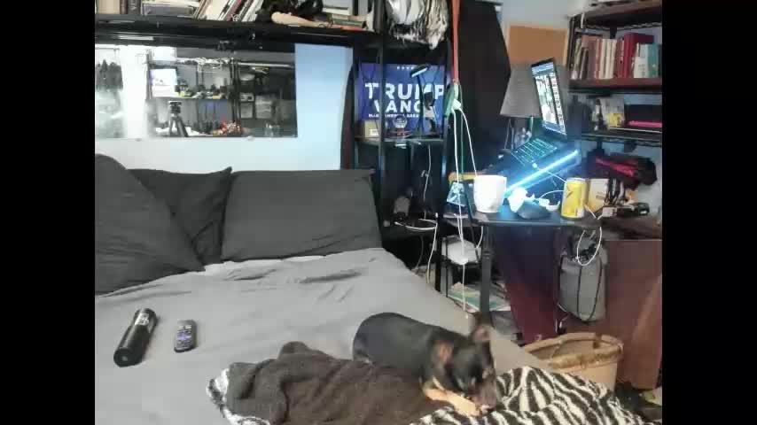 pink_black Cam Model Chat October 29, 2025