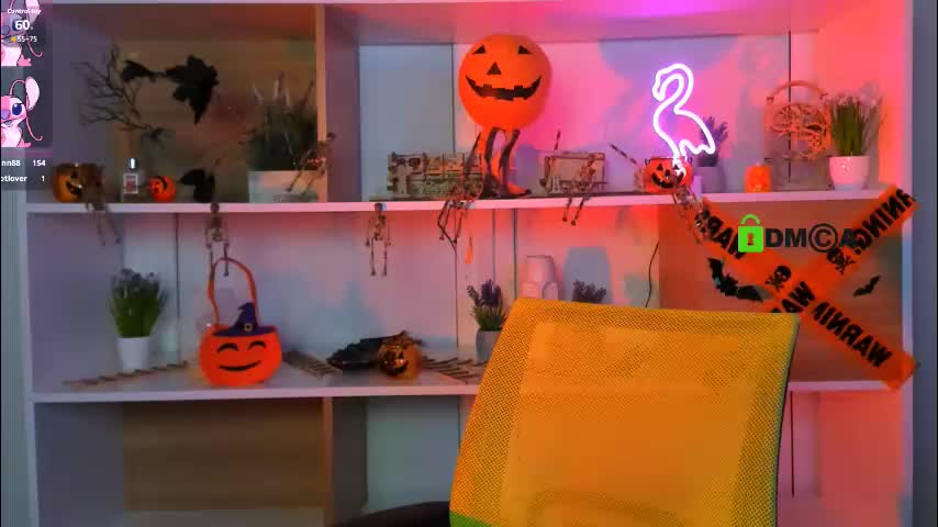 aria_moo Cam Model Chat October 29, 2025