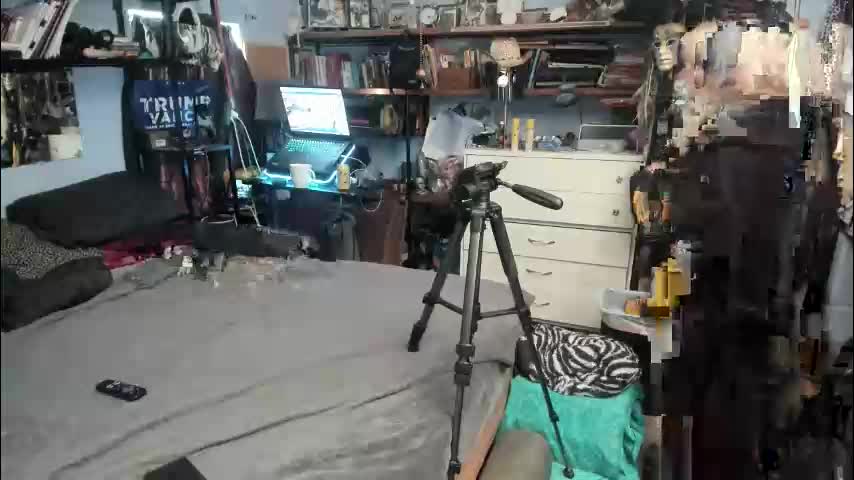 pink_black Cam Model Chat October 29, 2025