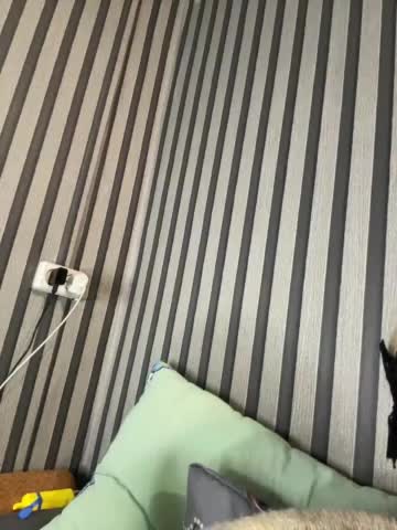 -LittleWitch- Cam Model Chat October 29, 2025