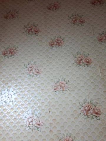 murr-kitty Cam Model Chat October 29, 2025