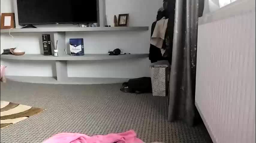 crazybrenda89 Cam Model Chat October 29, 2025