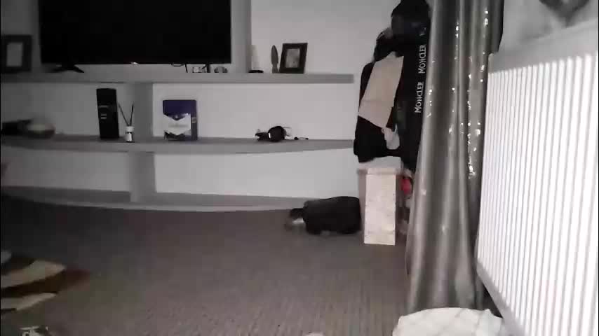 crazybrenda89 Cam Model Chat October 29, 2025