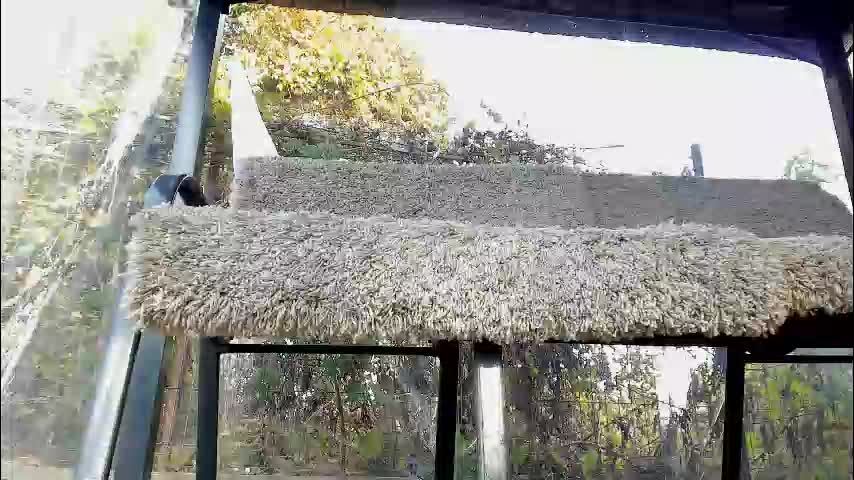 you_love_melisa Cam Model Chat October 29, 2025