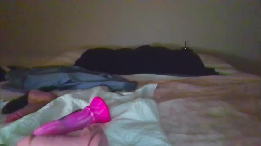 sdbeachfreaks Cam Model Chat October 29, 2025