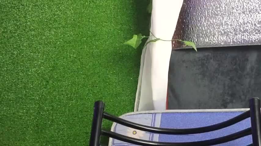 Jony_Marta Cam Model Chat October 29, 2025