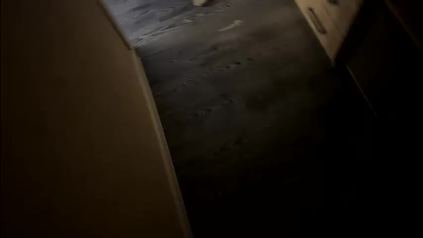 shtirlec86 Cam Model Chat October 29, 2025