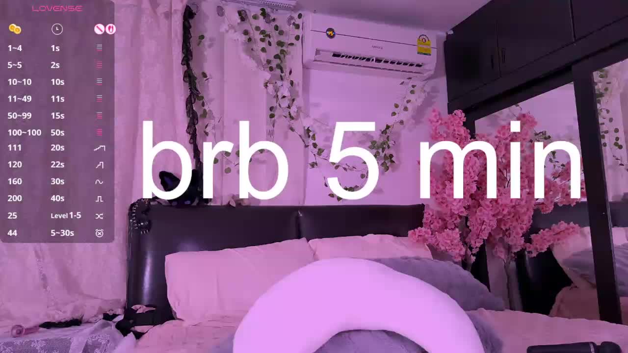 Leinbone Cam Model Chat October 29, 2025