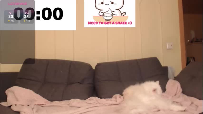 hotmp4 Cam Model Chat October 29, 2025