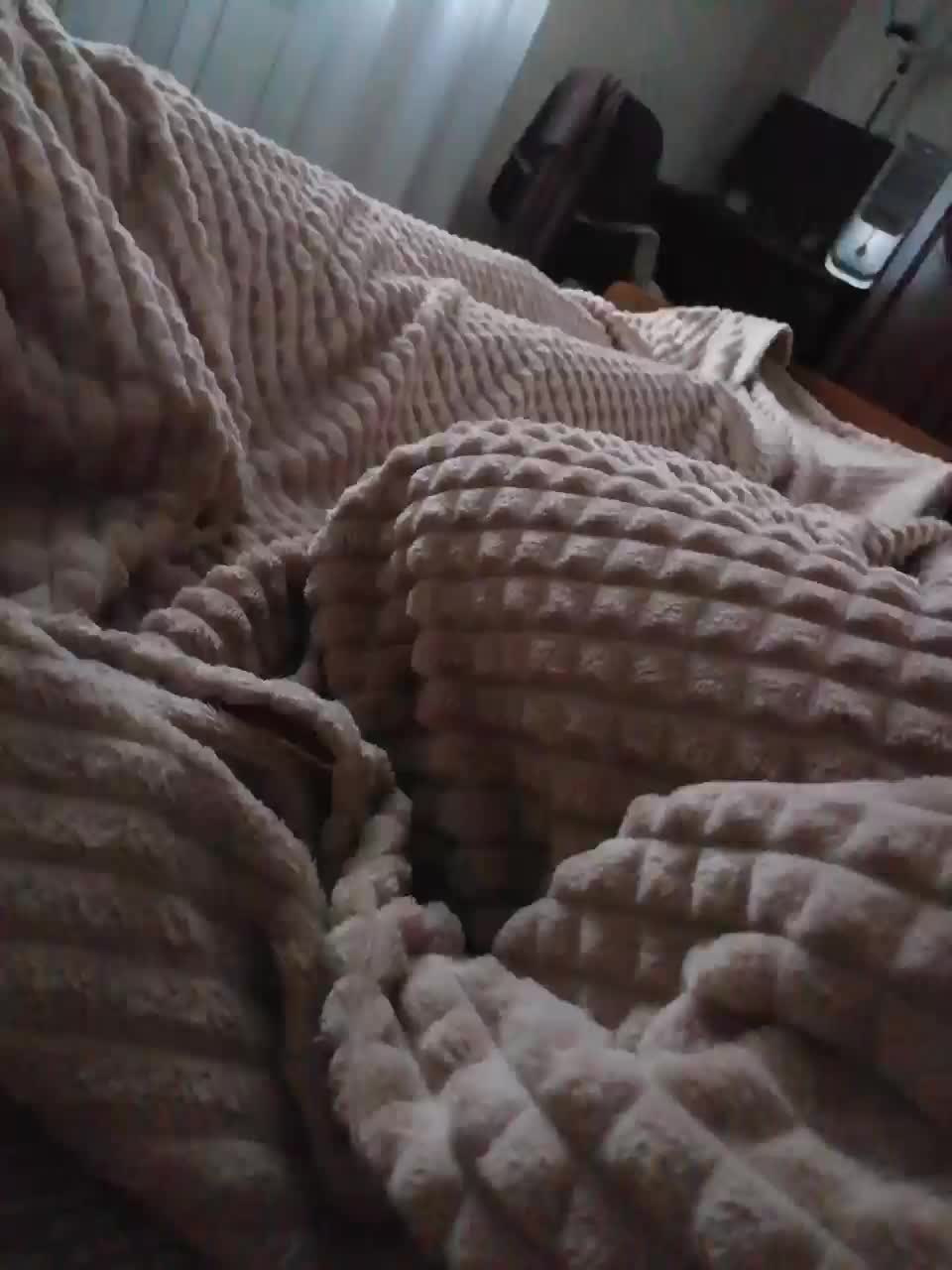 TISE Cam Model Chat October 29, 2025