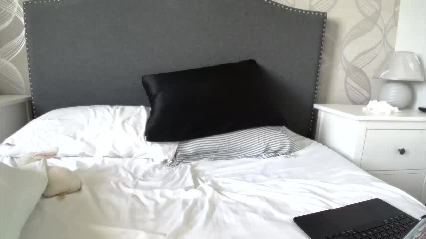 gizzlemcclizzle Cam Model Chat October 29, 2025