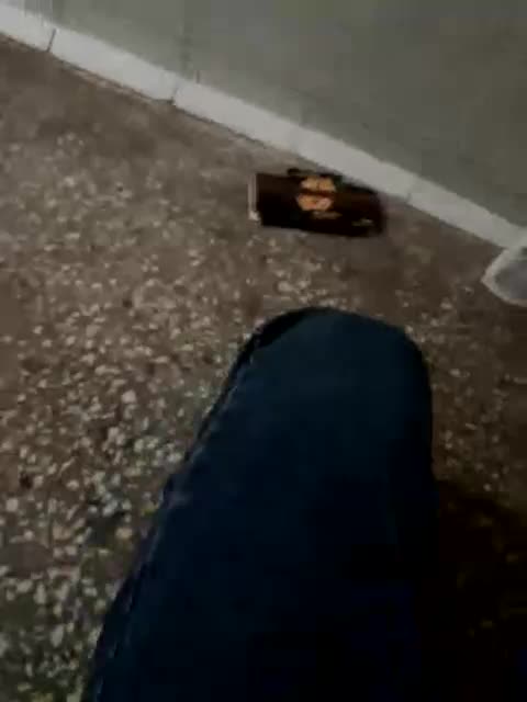 sinful1239 Cam Model Chat October 29, 2025