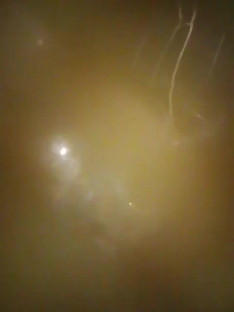 TilyTily Cam Model Chat October 29, 2025