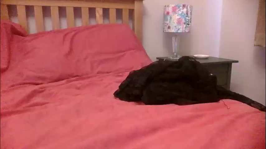 annecharlie Cam Model Chat October 29, 2025