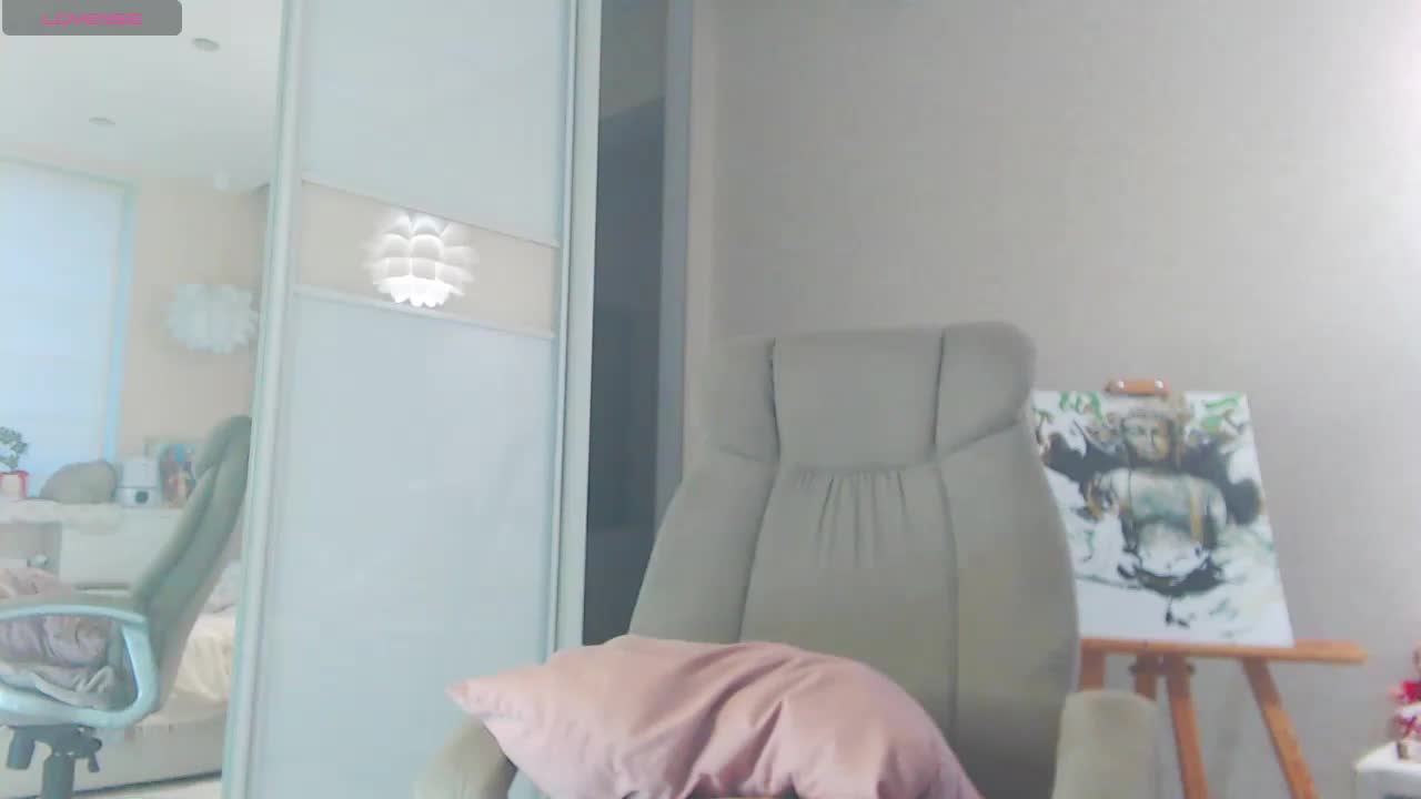 PureDreame Cam Model Chat October 29, 2025