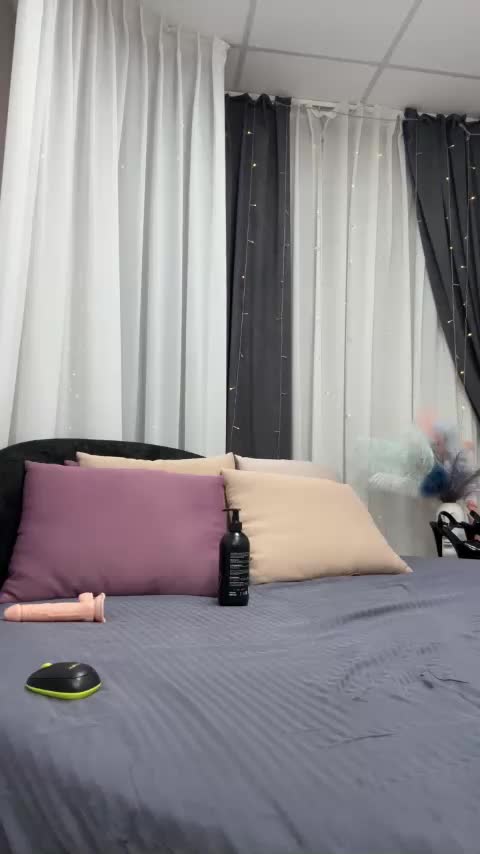 Shamelesss Cam Model Chat October 29, 2025