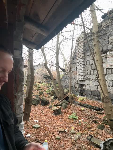 Pix1e Cam Model Chat October 29, 2025