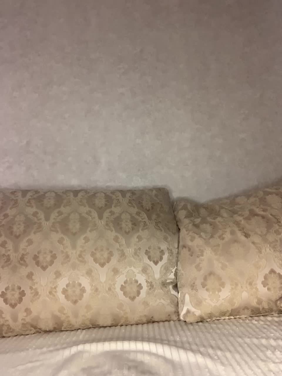 -ALLSAINT- Cam Model Chat October 29, 2025