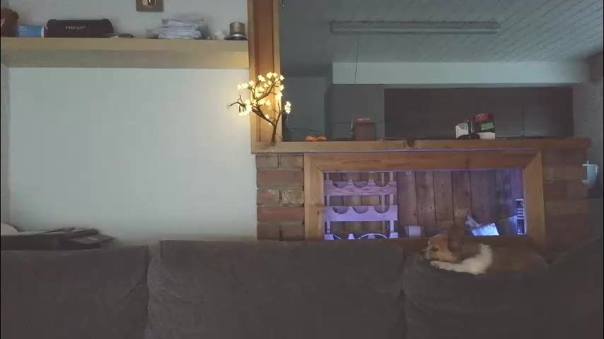 sanroom Cam Model Chat October 29, 2025