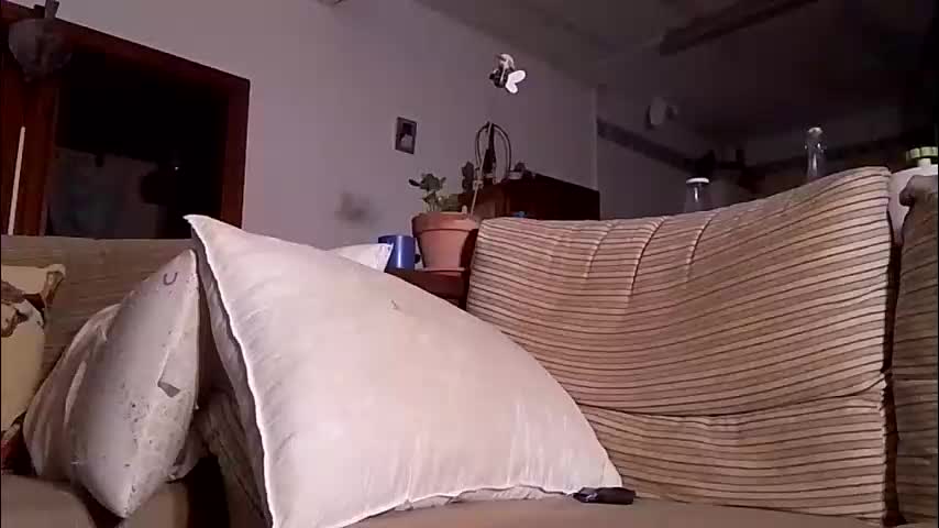 lolahueso Cam Model Chat October 29, 2025