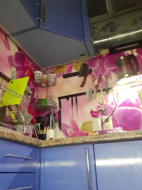 MS-86 Cam Model Chat October 29, 2025