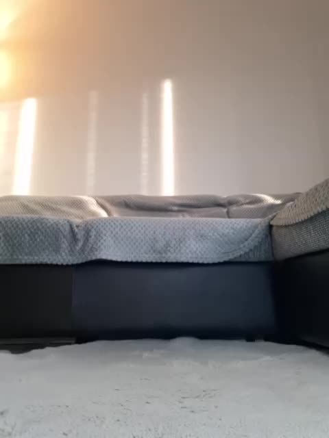 Violasweety Cam Model Chat October 29, 2025