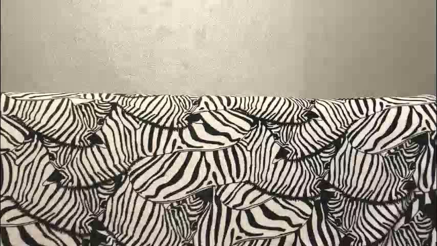 minhblomme Cam Model Chat October 29, 2025