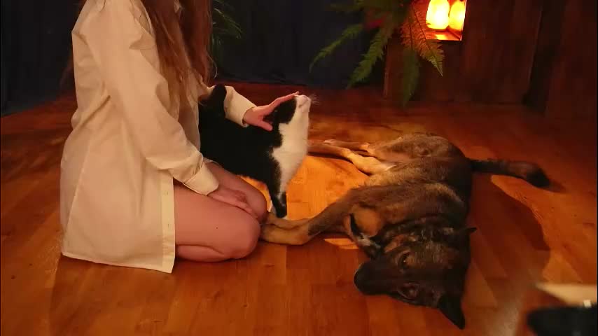 lynn_feline Cam Model Chat October 29, 2025