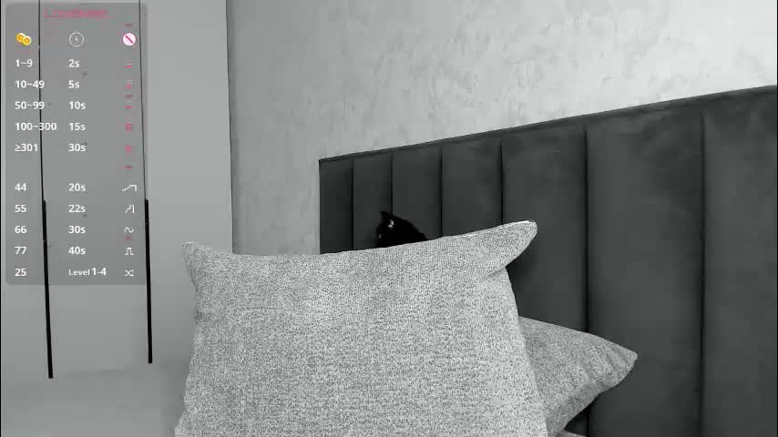 murbur Cam Model Chat October 29, 2025