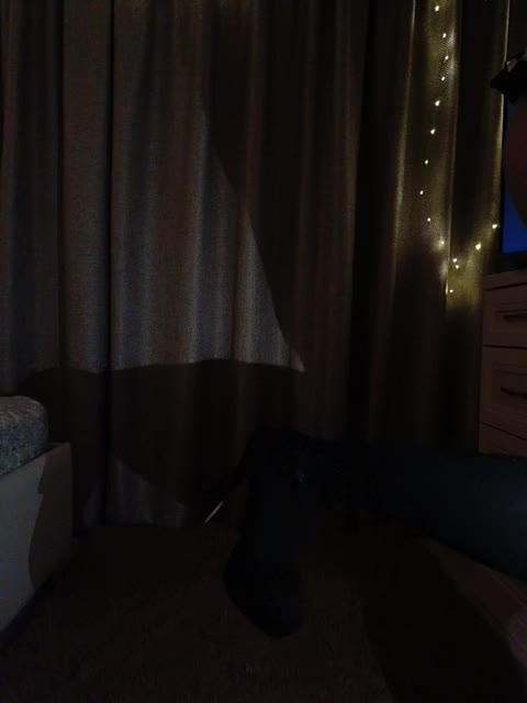 Alfenok Cam Model Chat October 29, 2025