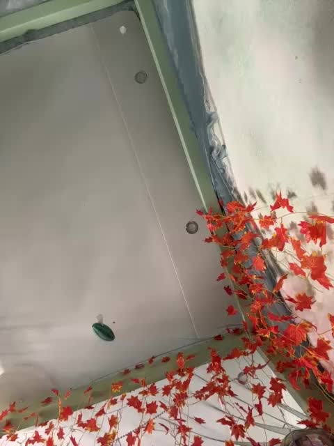 -Windranger- Cam Model Chat October 29, 2025