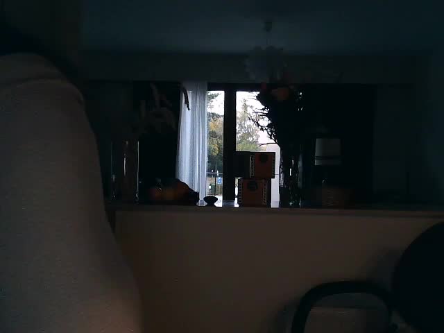 UllimOhi Cam Model Chat October 29, 2025